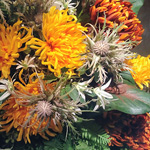�W���X�}�b�N�v���U�z�e���D�y�V�R����u�������v�t�����g�I�u�W�F����