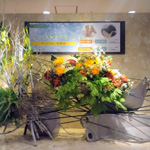 �W���X�}�b�N�v���U�z�e���D�y�V�R����u�������v�t�����g�I�u�W�F����